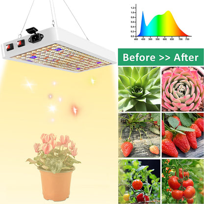 LED-Wachstumslampen mit Doppelschalter für Gemüse und Blüte, Sonnenlicht mit vollem Spektrum