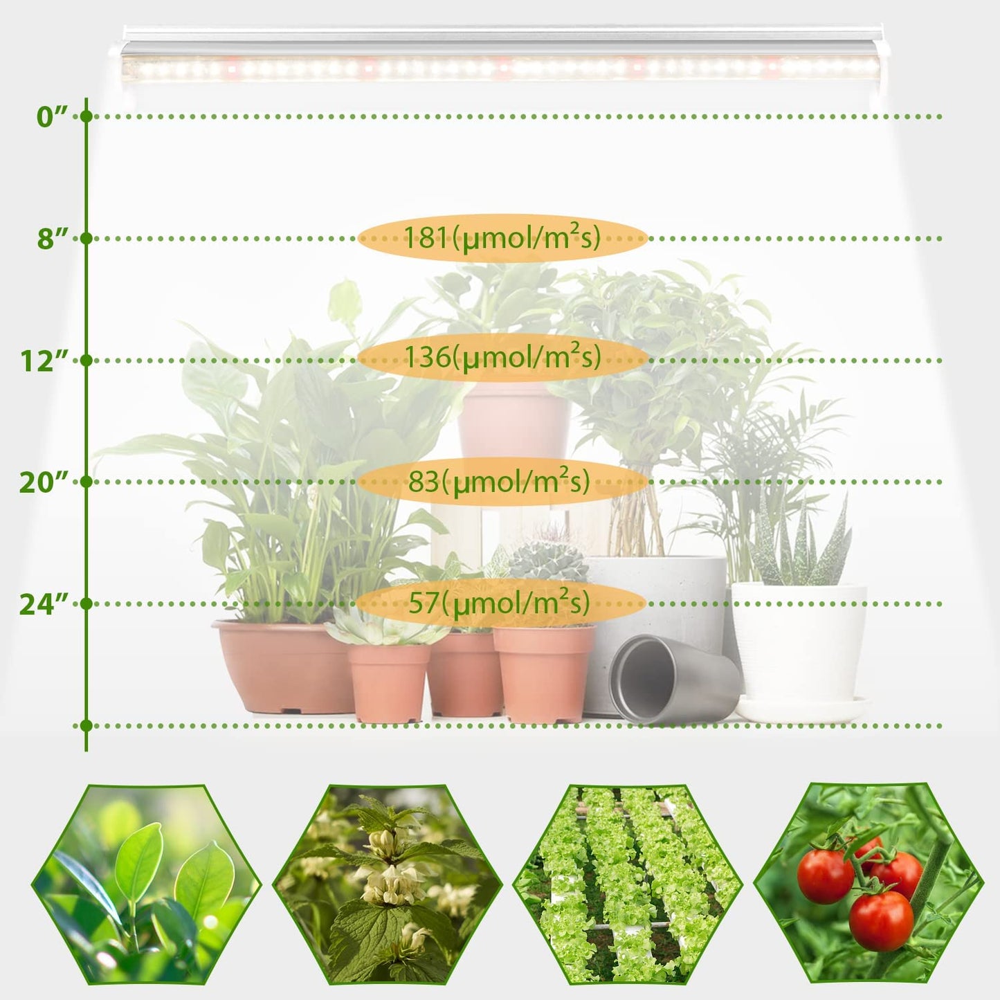 Grow Light T5 ( 2pcs/4pcs x 10 Watts)