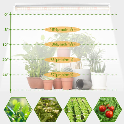 Luz de cultivo T5 (2 piezas/4 piezas x 10 vatios)