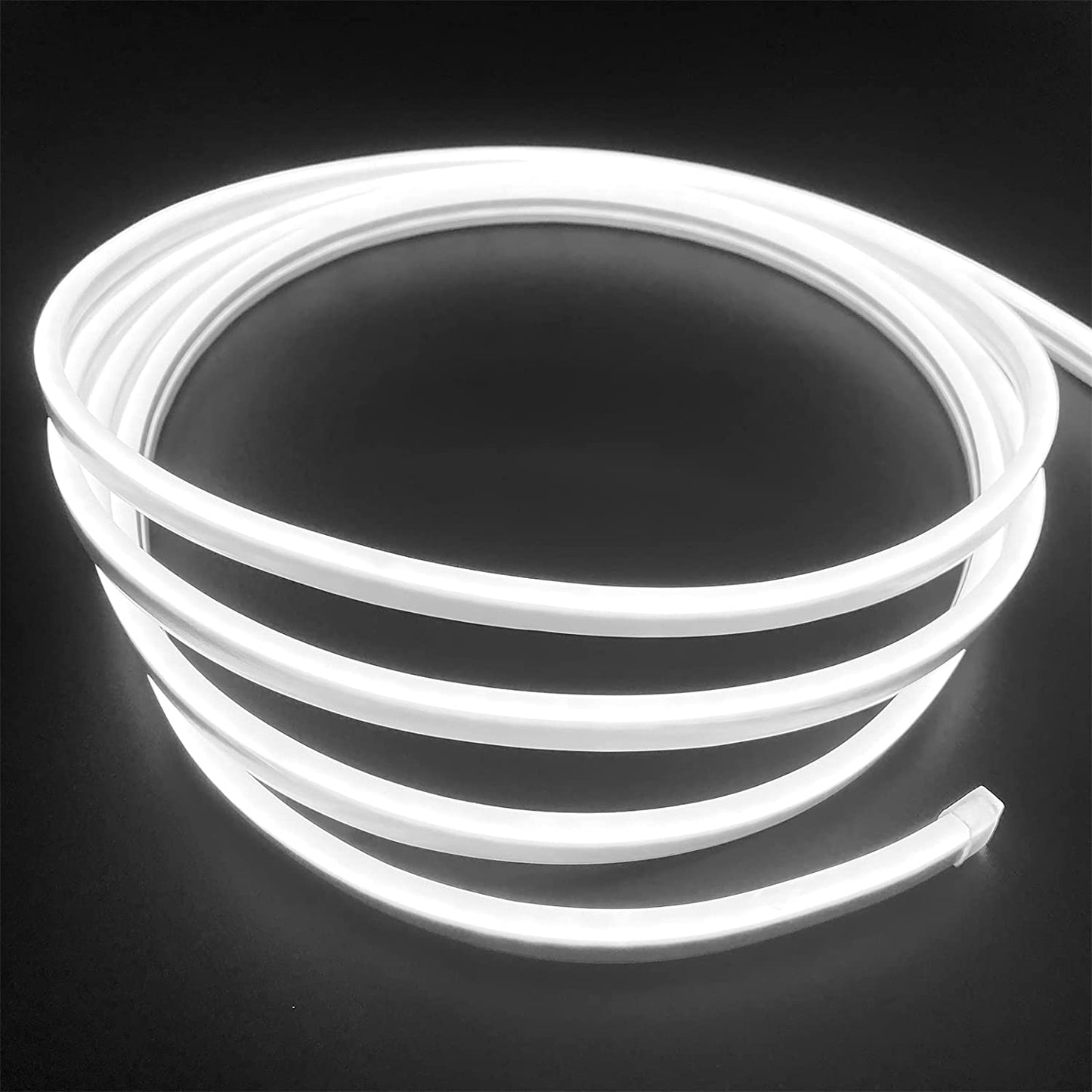 Waterproof Touch Switch Dimmable LED Neon Strip Light