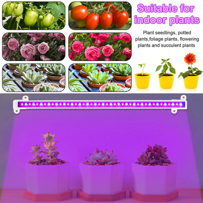 LED Grow Light Strips