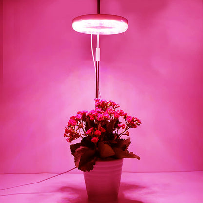 Lampes pour plantes à intensité variable avec tête lumineuse annulaire Spectrum