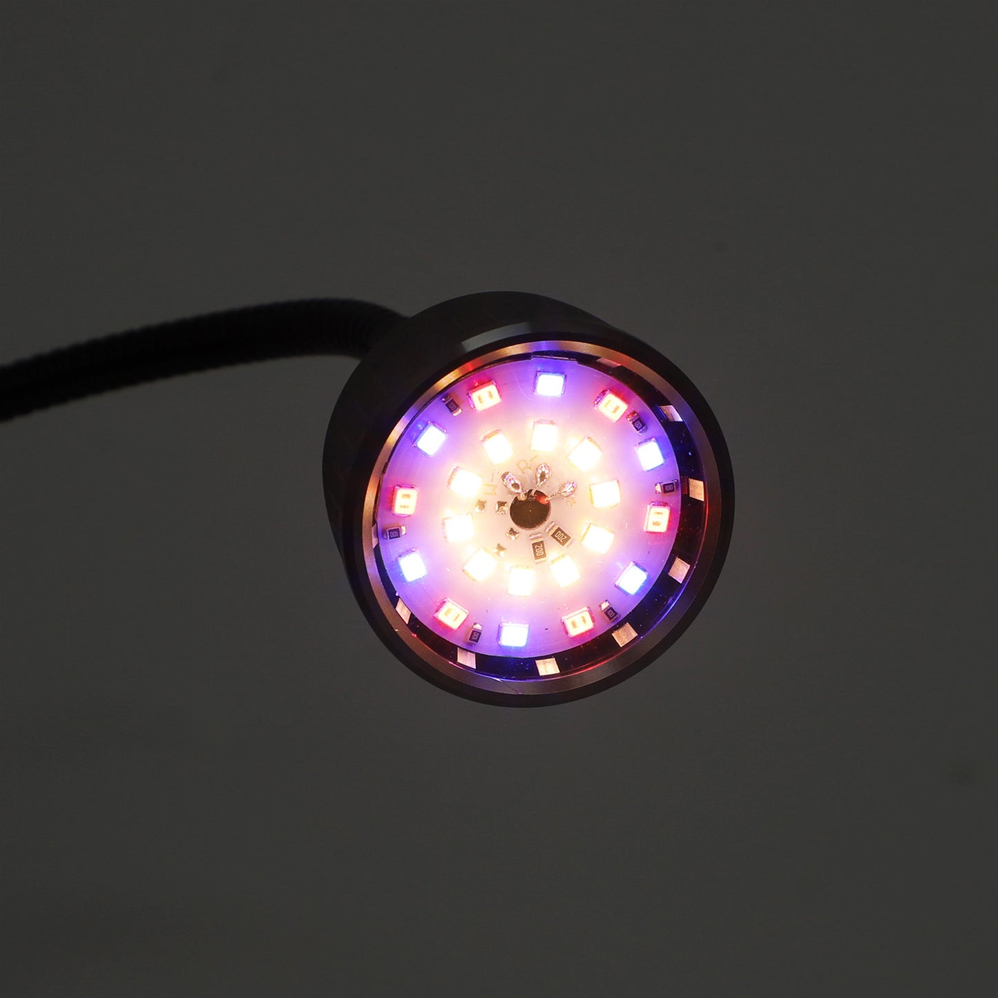 Luces LED para plantas con clip