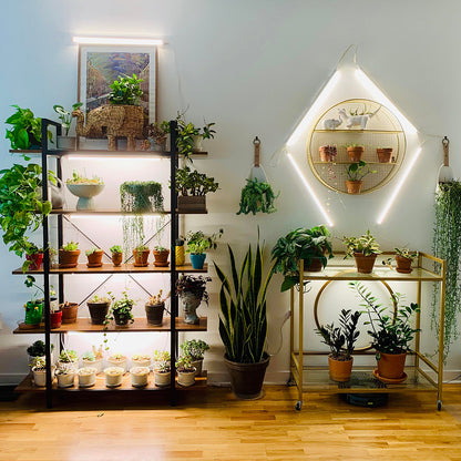 Connectable Sunlight LED Grow Light