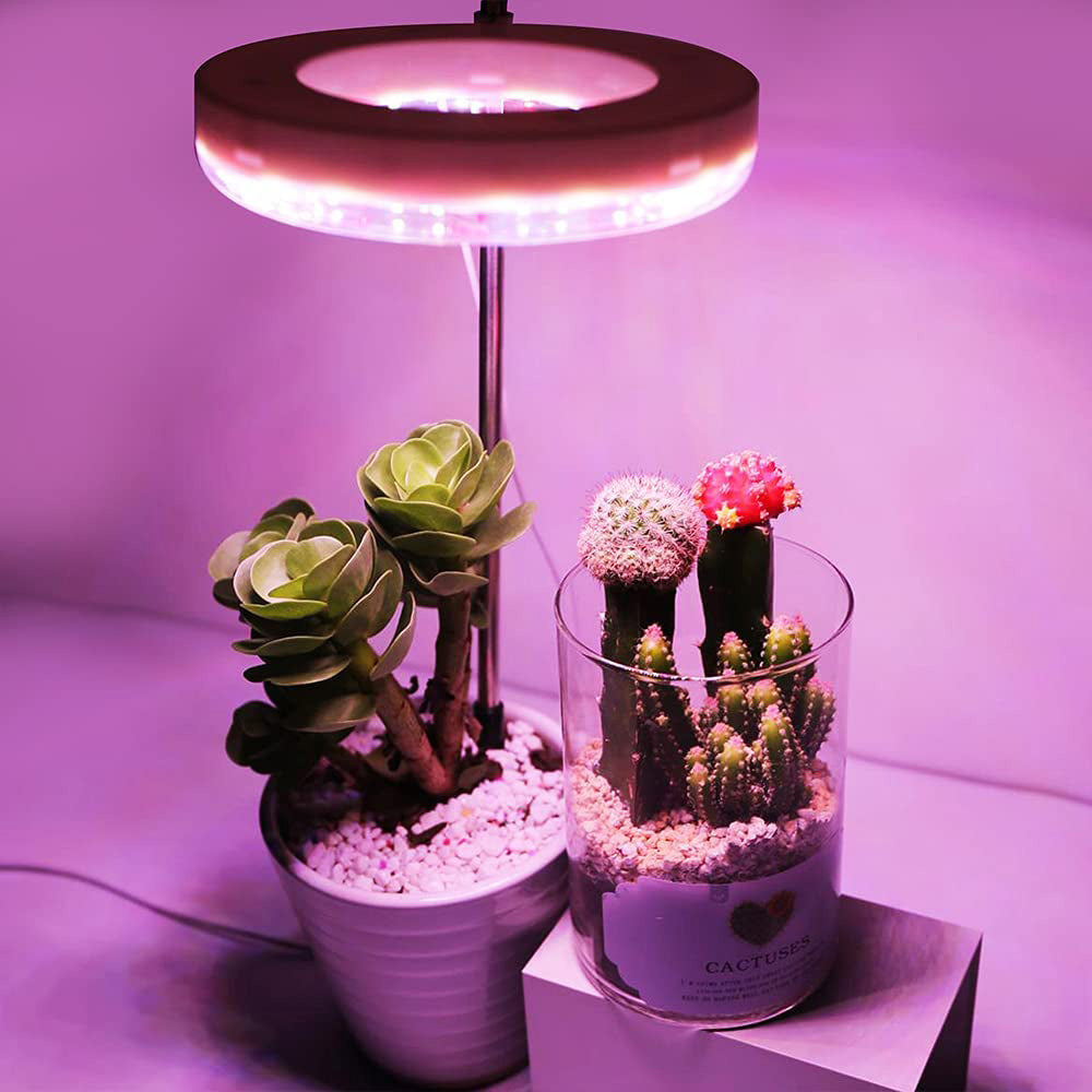 Lampes pour plantes à intensité variable avec tête lumineuse annulaire Spectrum