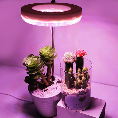 Lampes pour plantes à intensité variable avec tête lumineuse annulaire Spectrum