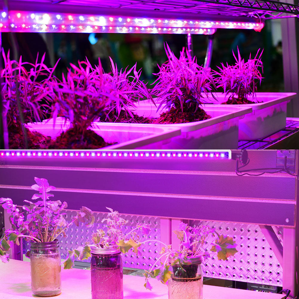 Tiras de luz LED para cultivo