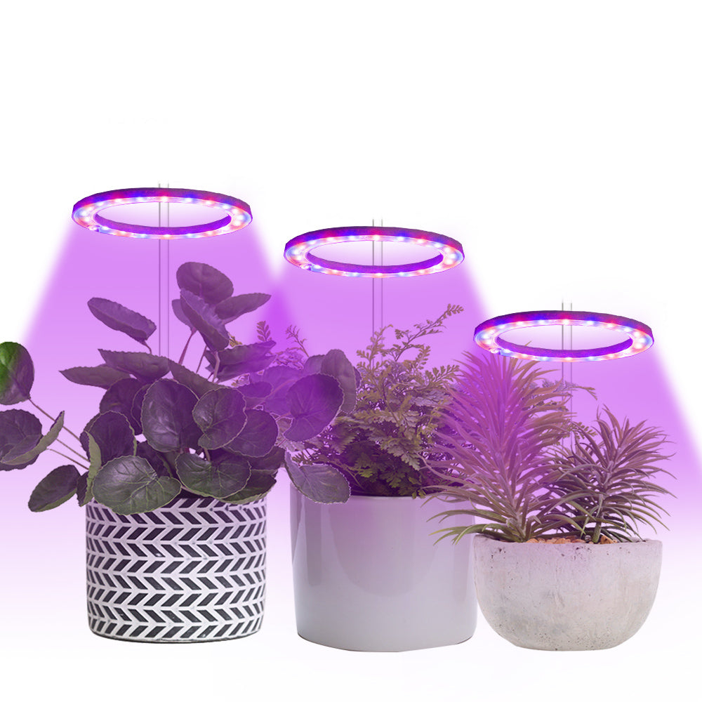 Luz LED para cultivo de plantas USB de espectro completo, rojo y azul