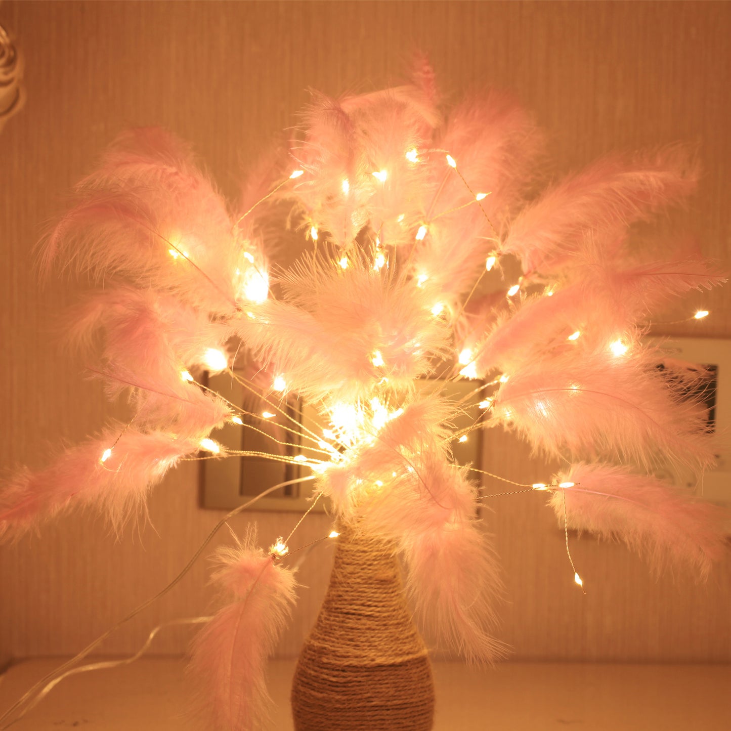 Feather Starburst String Lights