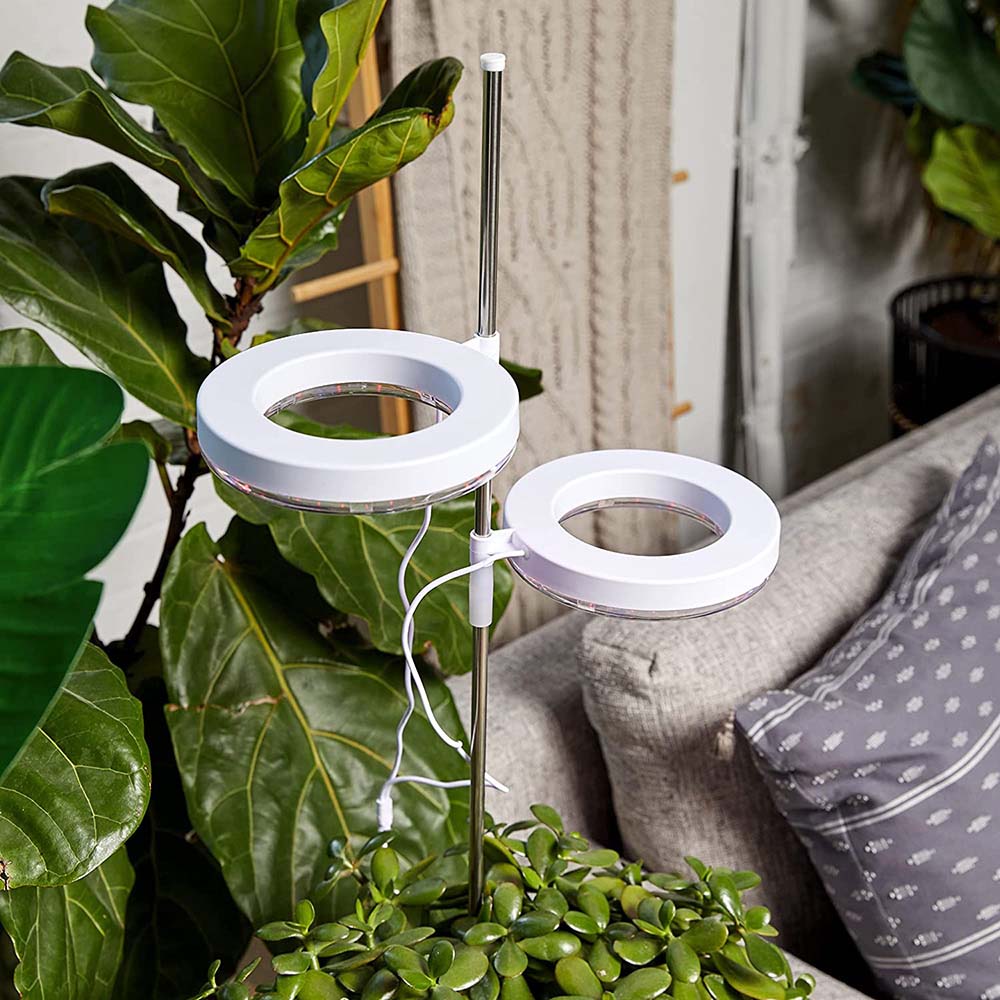 Lampes pour plantes à intensité variable avec tête lumineuse annulaire Spectrum