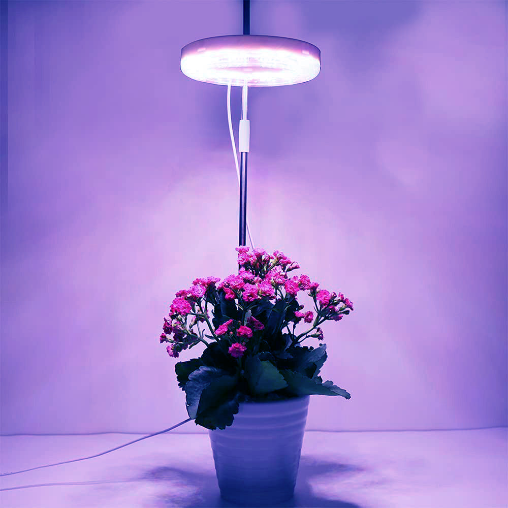 Lampes pour plantes à intensité variable avec tête lumineuse annulaire Spectrum