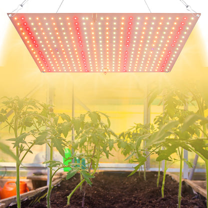 Luz de cultivo LED de espectro completo