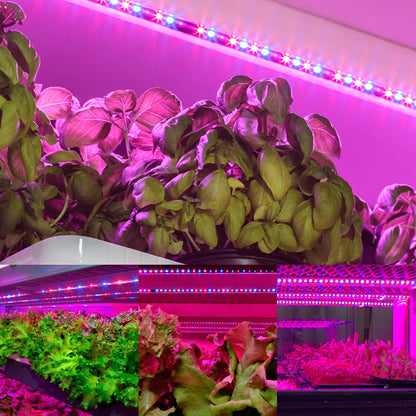 Tiras de luz LED para cultivo