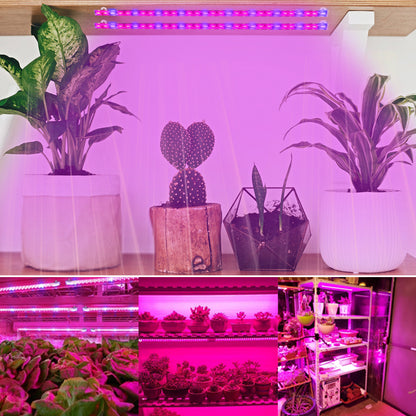 Tiras de luz de cultivo LED regulables de espectro completo