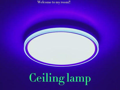 Flush Mount LED Ceiling Light Smart Wifi Ble Remote Control