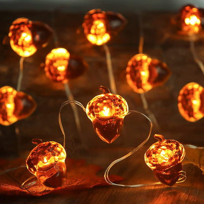 LED Acorn String Lights, 1-3M 10-30LEDs